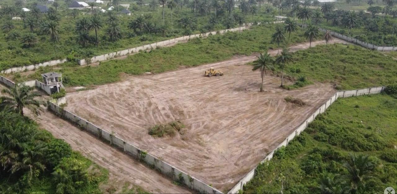 Eco Savannah